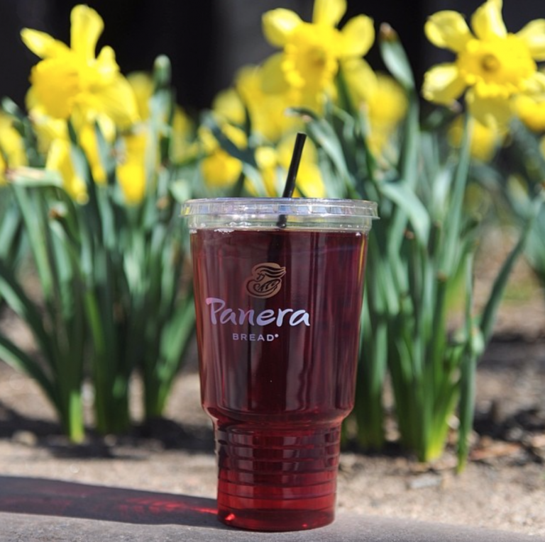 Panera Bread Gluten Free Menu Panera bread gluten free menu